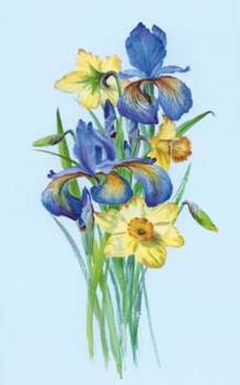 G18-Iris-&-Daffodil-web